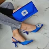 Blue Matching Heels and Bag Set for Women Ra-953