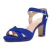 Blue Ankle Strap Strappy Chunky Heel Sandals
