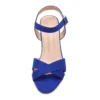 Blue Ankle Strap Strappy Chunky Heel Sandals
