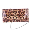 Leopard Block Heel Shoes and Clutch Bag Set